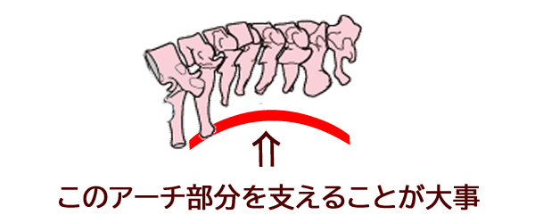 枕は肩まで 10年整骨院経営の私がおすすめ枕を厳選 ゆう接骨院 枕は肩まで 10年整骨院経営の私がおすすめ枕を厳選 ゆう接骨院