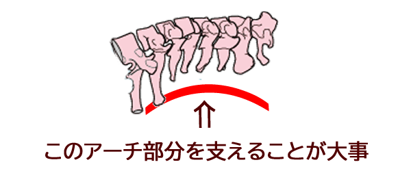 枕は肩まで １０年整骨院経営の私がおすすめ枕を厳選 ゆう接骨院